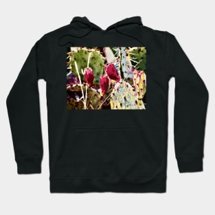 Texas Cactus Fantasy Hoodie